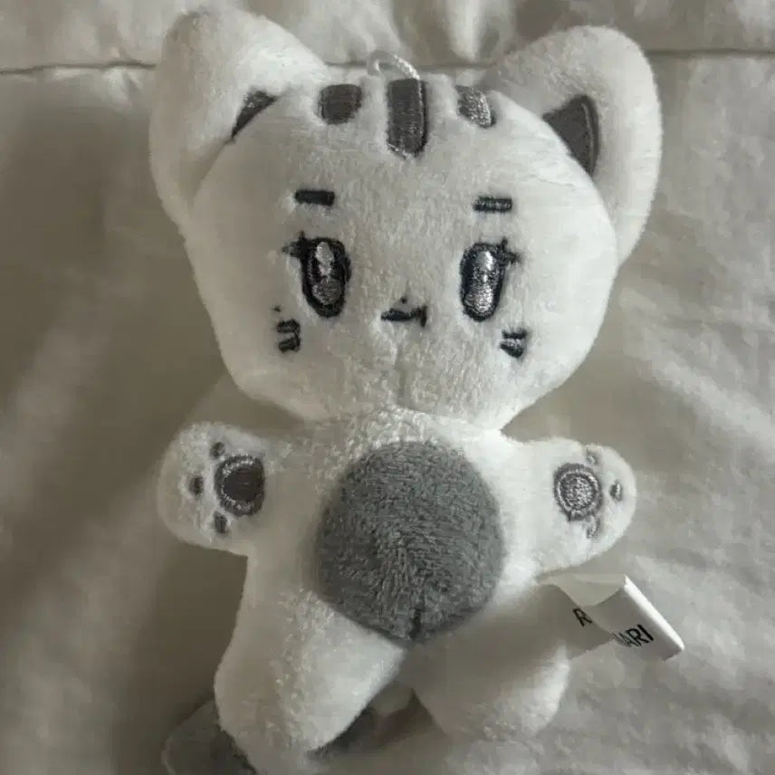 엔믹스 규진 인형 앙고앵 판매 양도