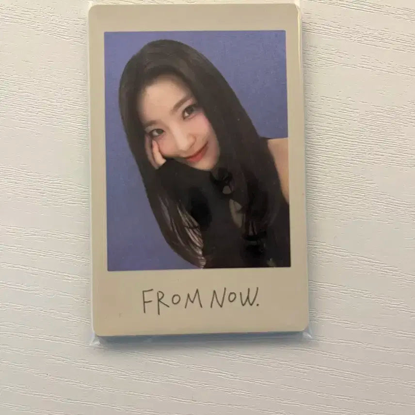 프롬나우 콘서트 포카 8명 일괄