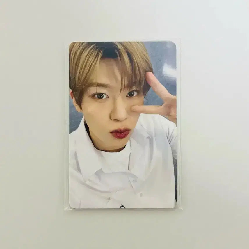 [미개봉] 스쿨오브 위시 입장 포카 세트