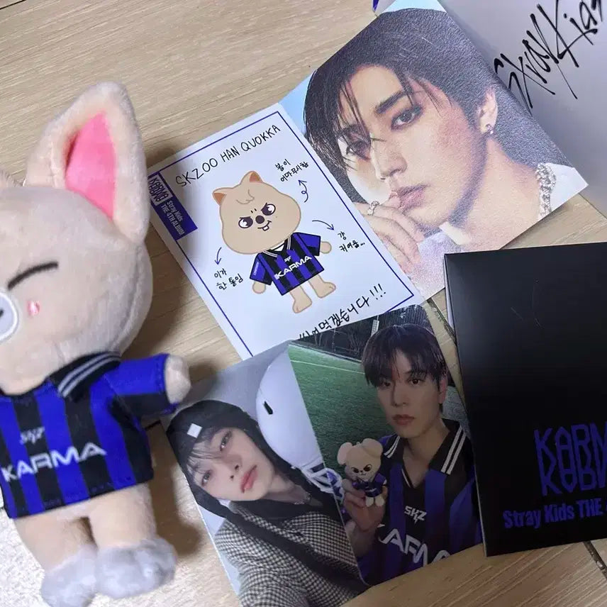 스트레이키즈 카르마 스키주 폭시니