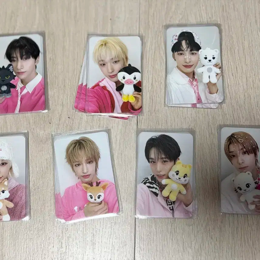 nexz 콘서트 구배4만원 포카세트양도합니다