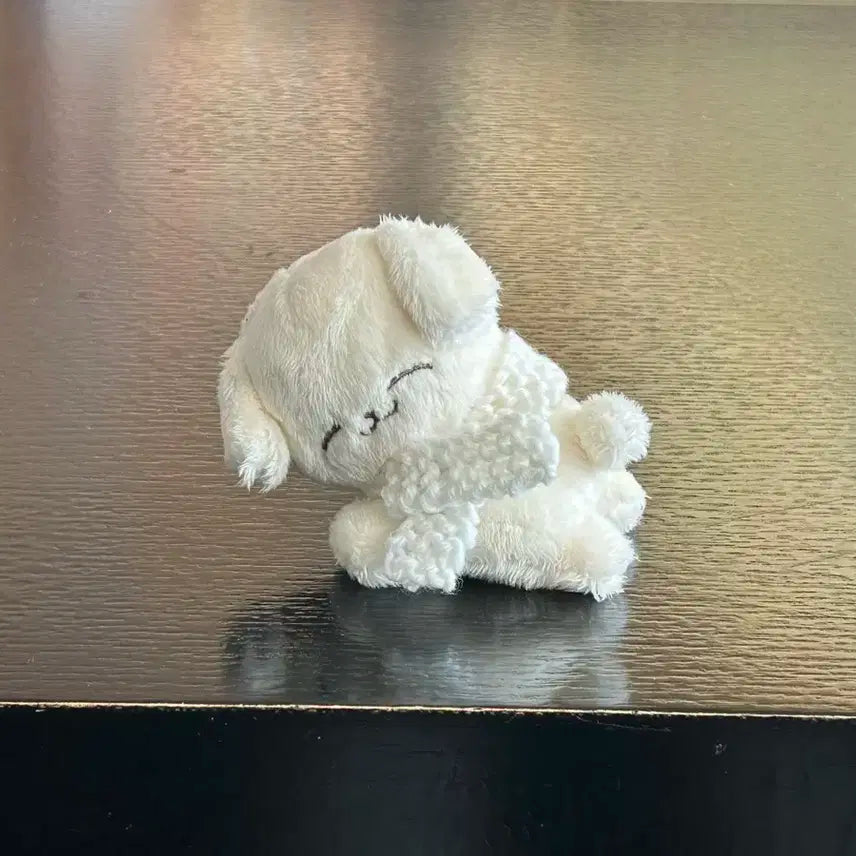 덤 많이) 폭쩬이 엔시티 제노인형