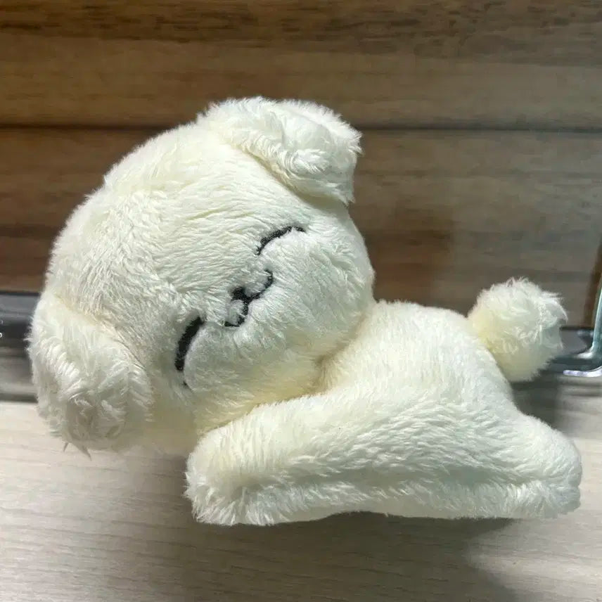 덤 많이) 폭쩬이 엔시티 제노인형