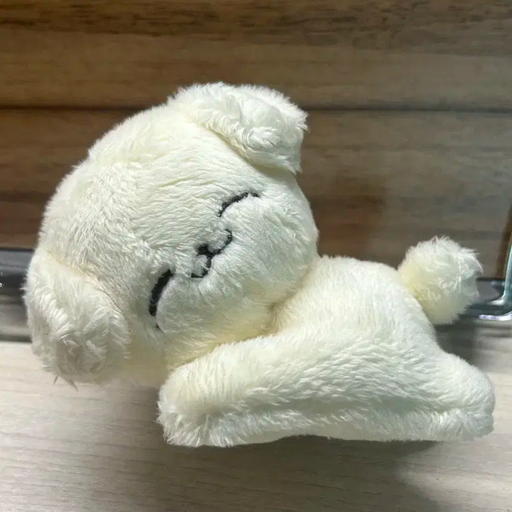 덤 많이) 폭쩬이 엔시티 제노인형