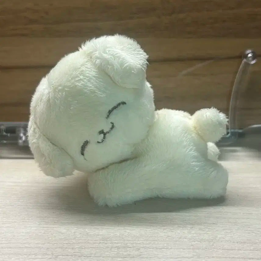 덤 많이) 폭쩬이 엔시티 제노인형