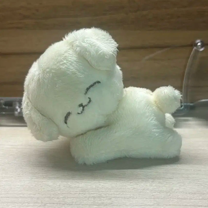 덤 많이) 폭쩬이 엔시티 제노인형