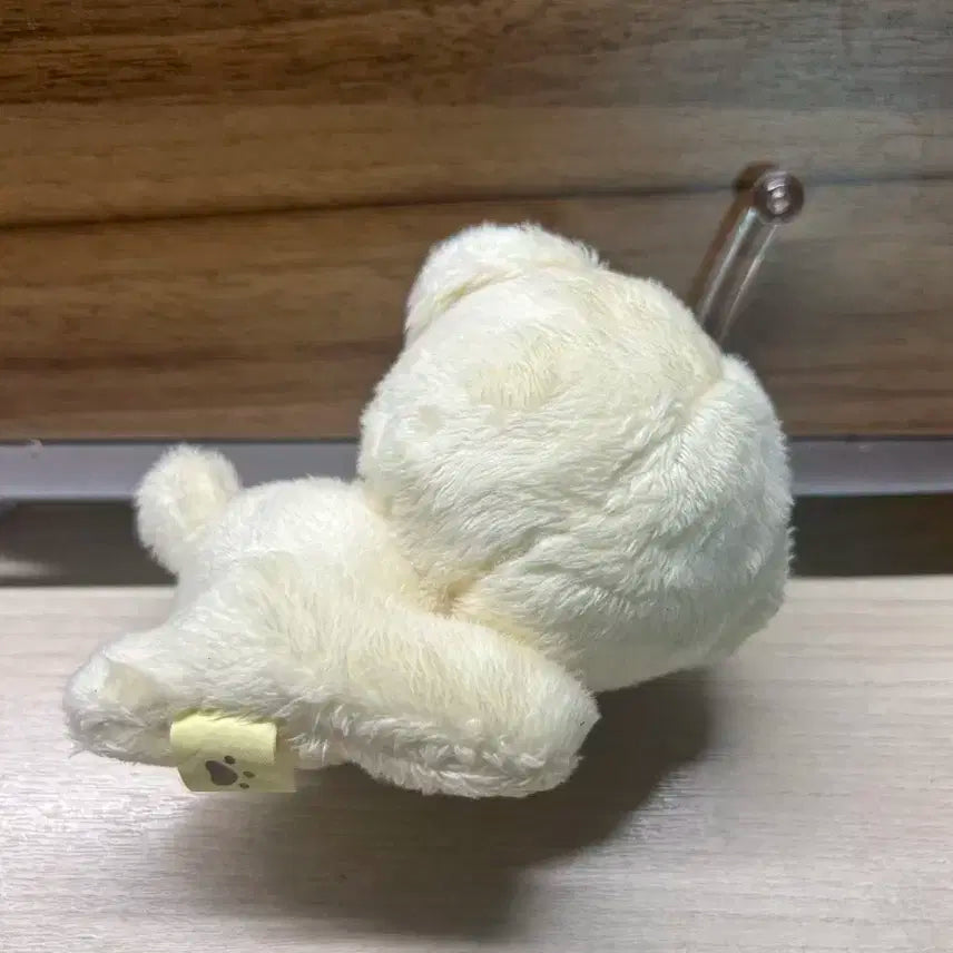 덤 많이) 폭쩬이 엔시티 제노인형