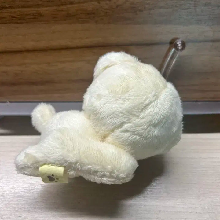 덤 많이) 폭쩬이 엔시티 제노인형