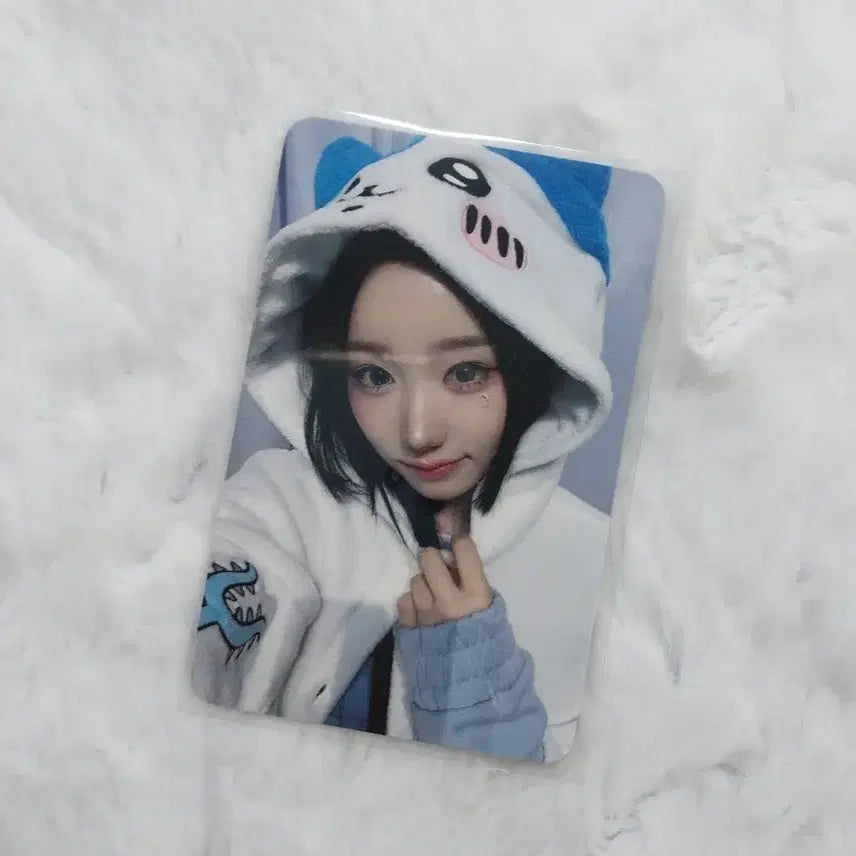 세이마이네임 메이 하치와레 포카 양도 판매해요