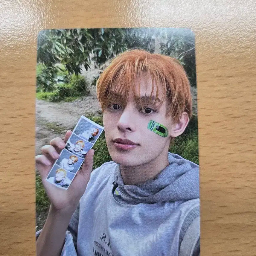 코르티스 건호 위버스반 앨포