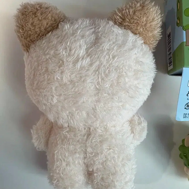 하니니 13cm 기본인형 두리안 하니니 피규어 제로니 장하오 앨범