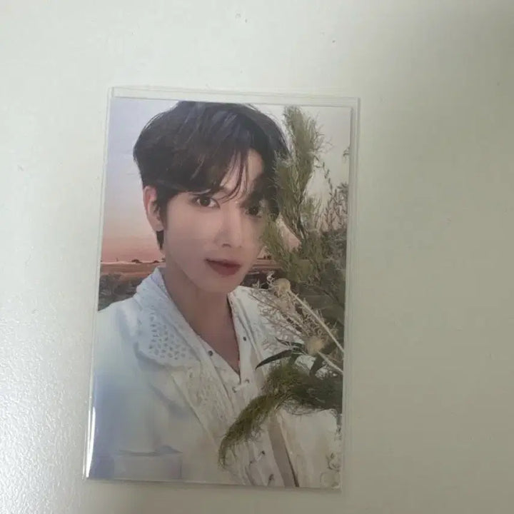 프미콘 모아존 태현 포카