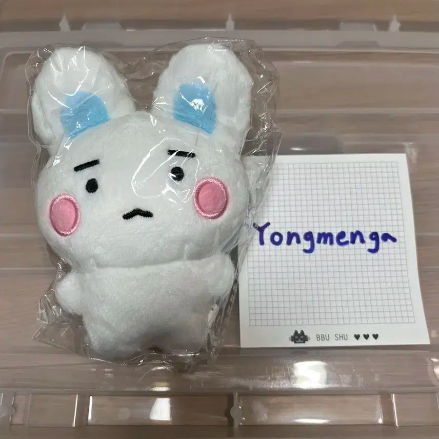 플레이브 예준 인형 암예끼 원가 양도