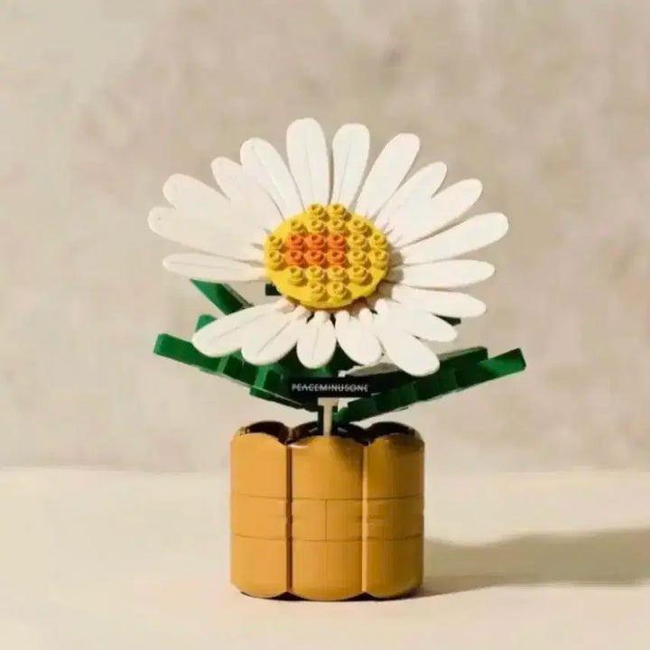 옥스포드 x 피스마이너스원 818 블룸 미개봉