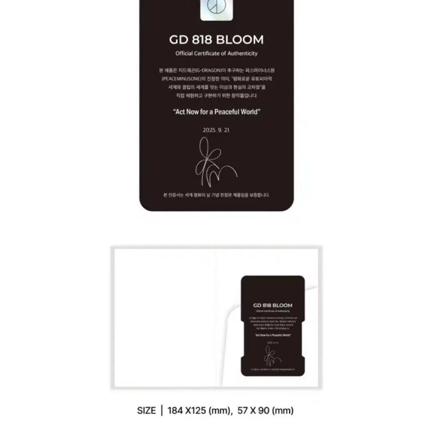 옥스포드 x 피스마이너스원 818 블룸 미개봉