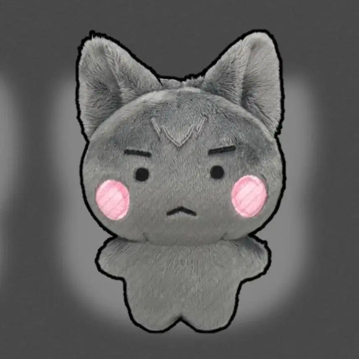 플레이브 하민 인형 암함냥 원가 양도