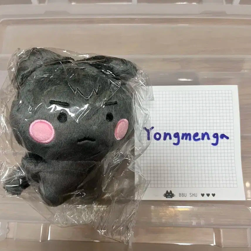 플레이브 하민 인형 암함냥 원가 양도