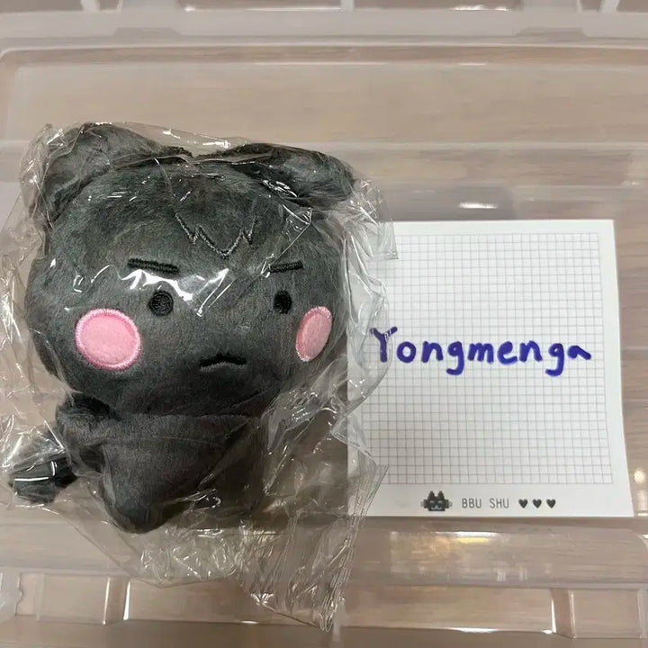 플레이브 하민 인형 암함냥 원가 양도