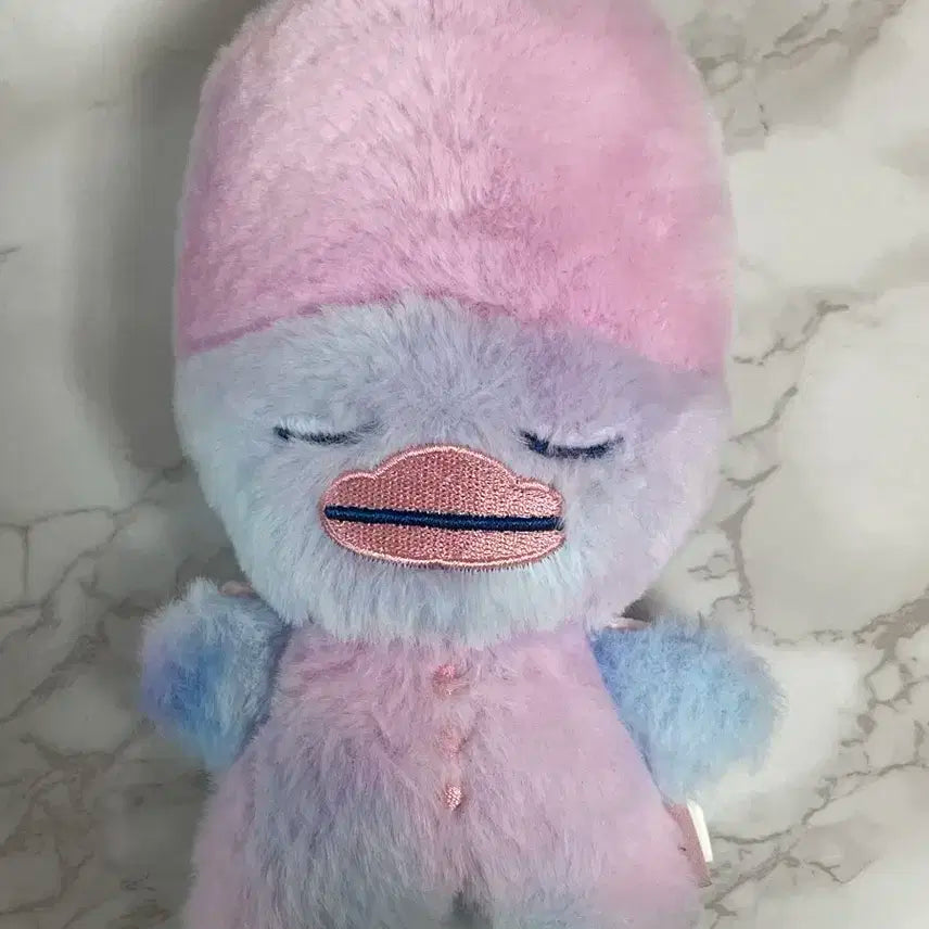 라이즈 미드나잇앨범 똘병 소희