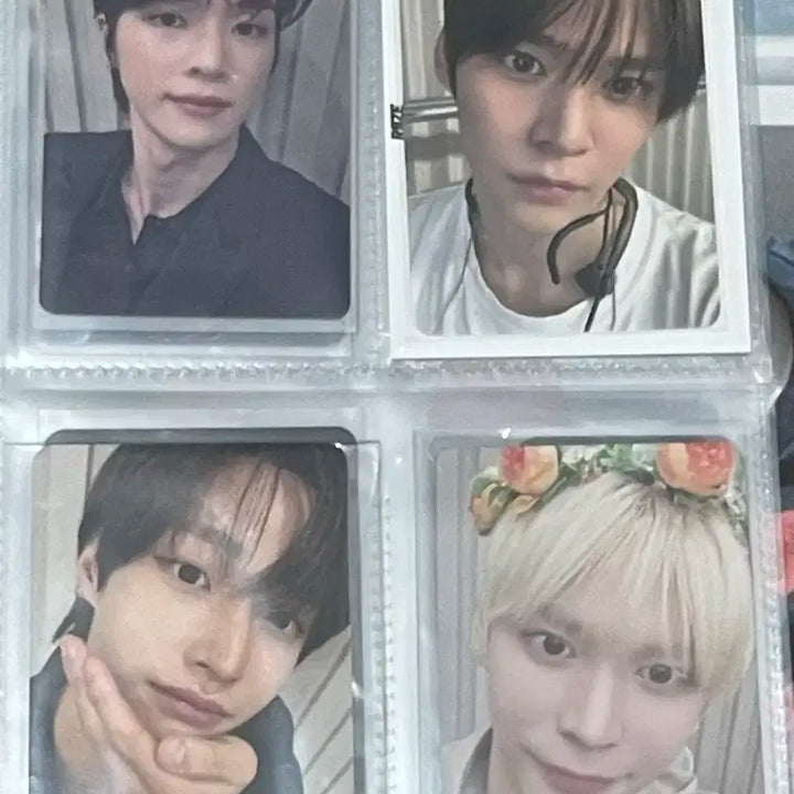 라이즈 포카 일괄 양도