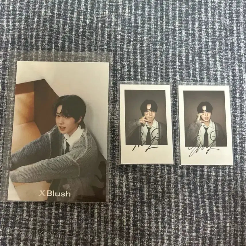 엔시티 위시 사쿠야 XBlush 엽서 폴라 일괄 판매 양도
