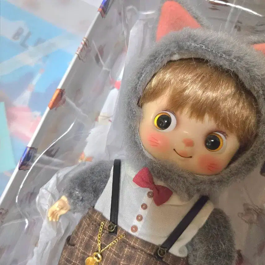바사카돌 고양이 바루