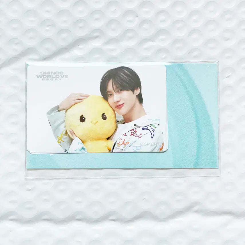 샤이니 essay 콘서트 태민 카드커버 스티커