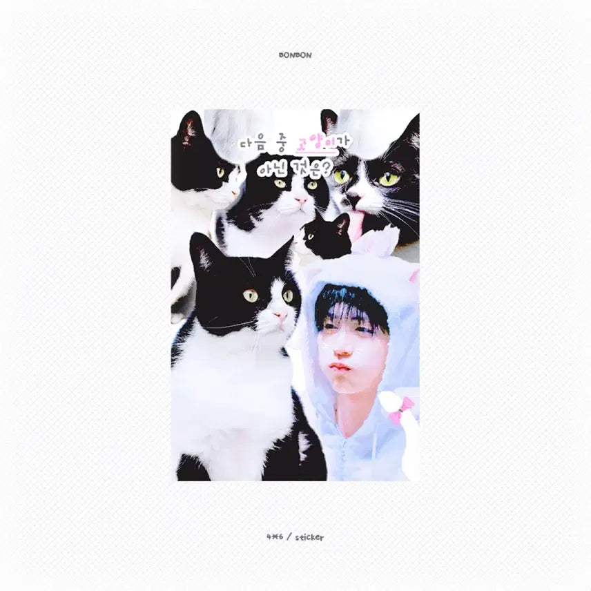 보이넥스트도어 보넥도 태산 비공굿 판매합니다!