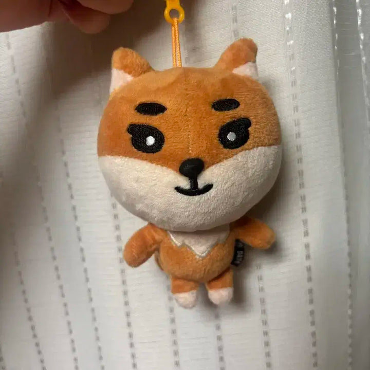 데이식스 데니멀즈 18 케