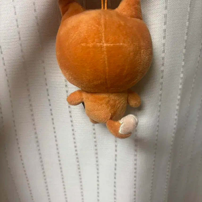 데이식스 데니멀즈 18 케