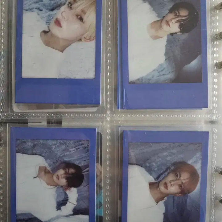 엔하이픈 노다웃 위버스버전 폴라로이드