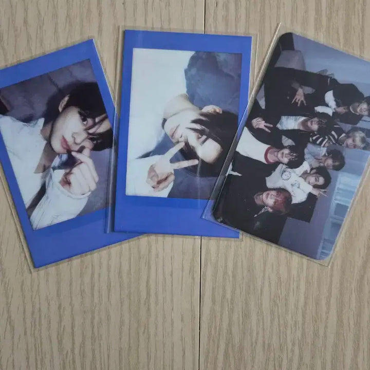 엔하이픈 노다웃 위버스버전 폴라로이드