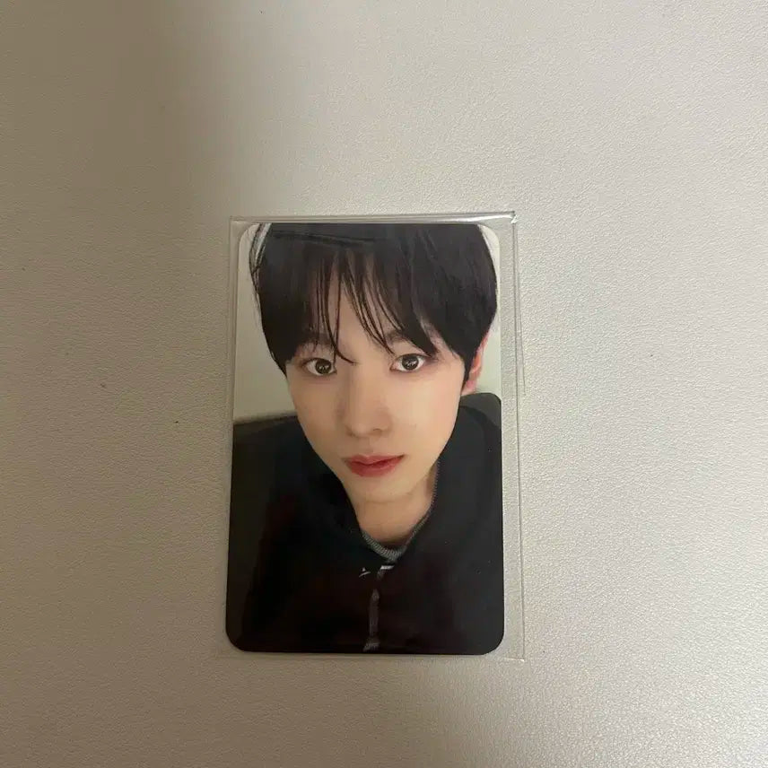 유우시 에버랜드 입장포카