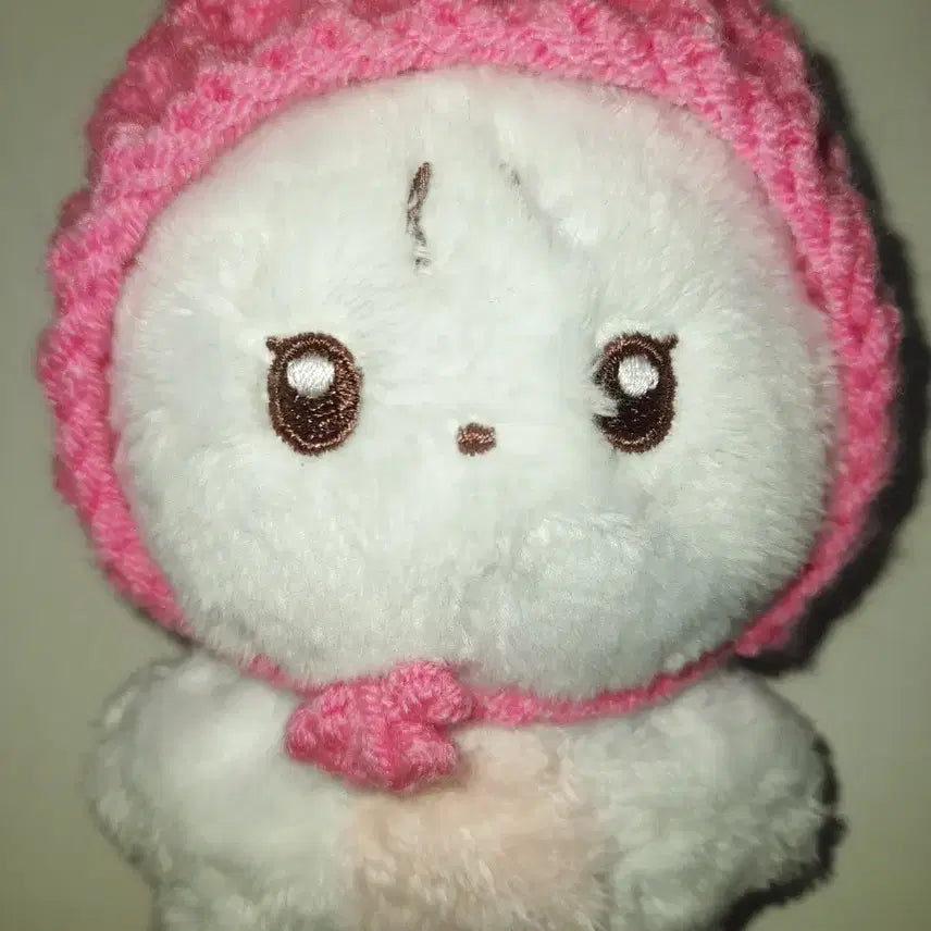 더보이즈 뉴 10cm 인형 차니냥 양도