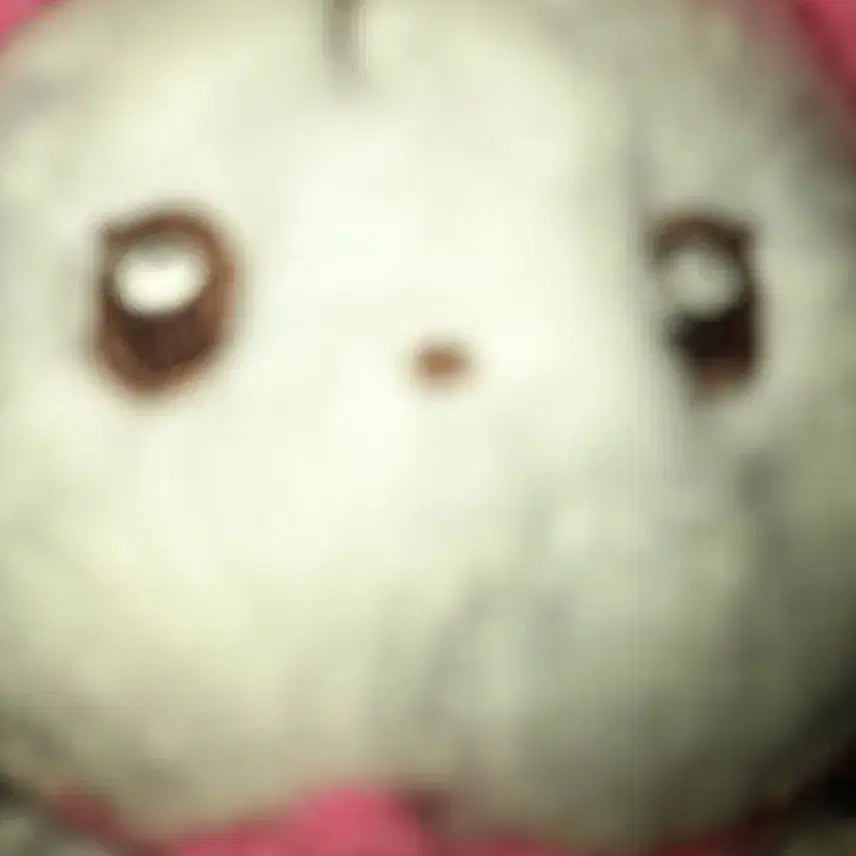 더보이즈 뉴 10cm 인형 차니냥 양도