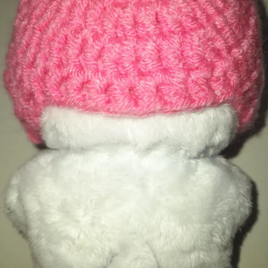 더보이즈 뉴 10cm 인형 차니냥 양도