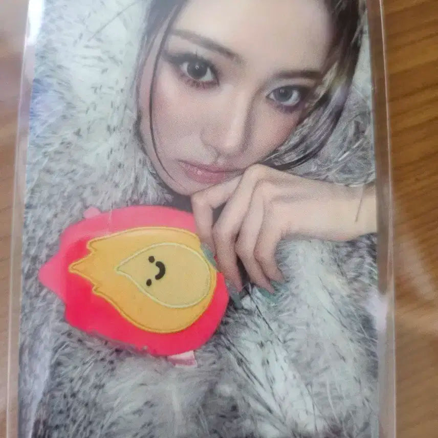 미야오 공방포카 안나 버닝업