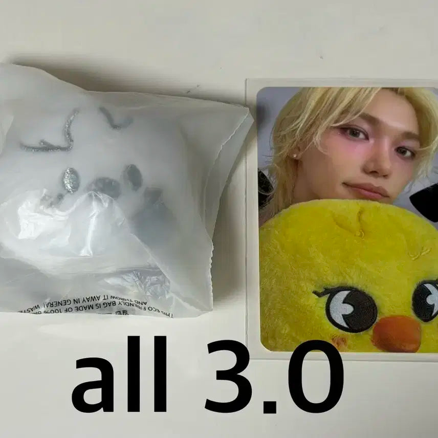 스키즈 실버 키링 뽁아리 팝업 구매 특전 필릭스