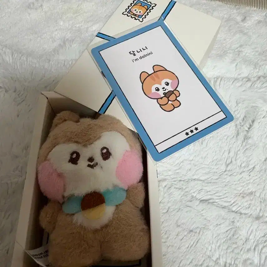 달니니 인형 팔아요.(박스 있음)