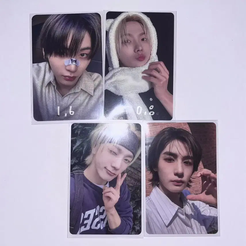 보넥도 디액션 케타포카톡 태산성호 양도