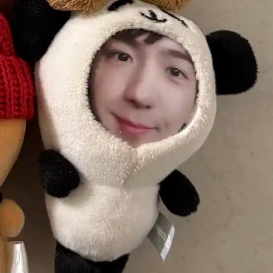 더보이즈 현재 인형 양도합니다!!