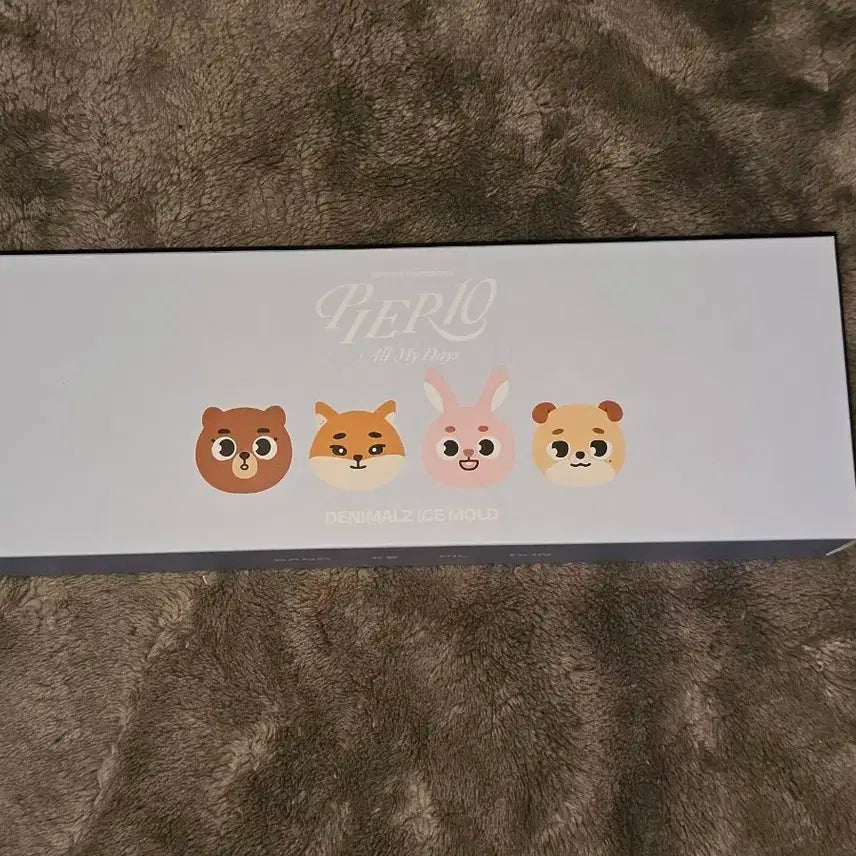 데이식스 아이스몰드