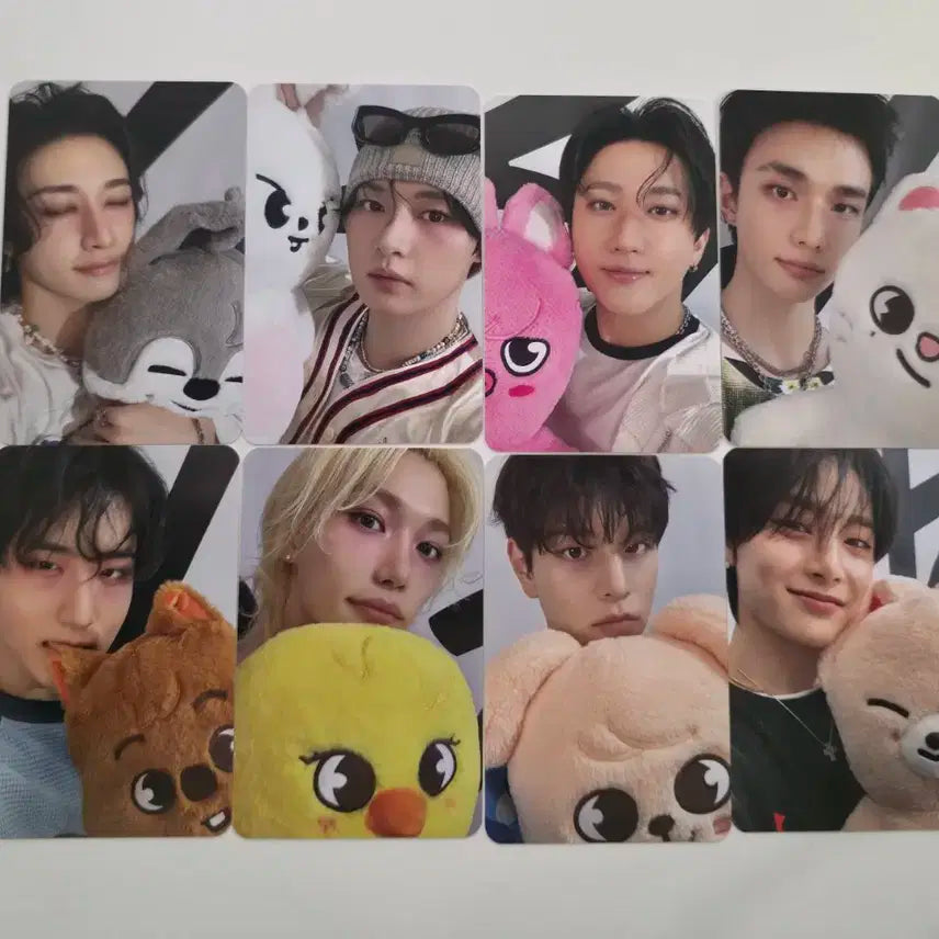 straykids 스키즈 앙콘 팝업 특전 포카 8인 세트