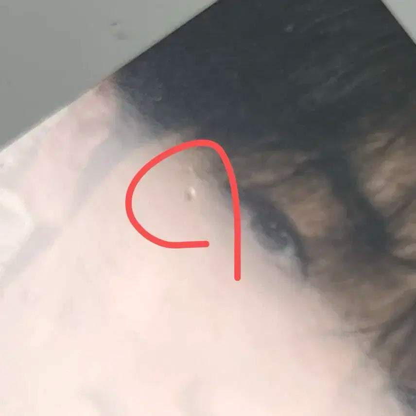 투바투 투게더 연준 수빈 범규 태현 휴닝카이 위버스재팬 1차 2차 포카