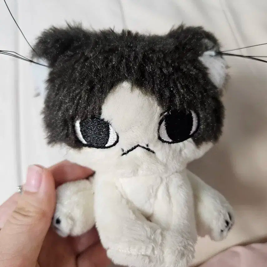 세븐틴 준 셀케트 준냥이 속성인형 팔아요