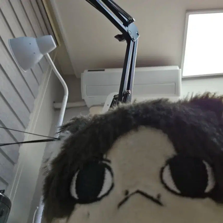 세븐틴 준 셀케트 준냥이 속성인형 팔아요