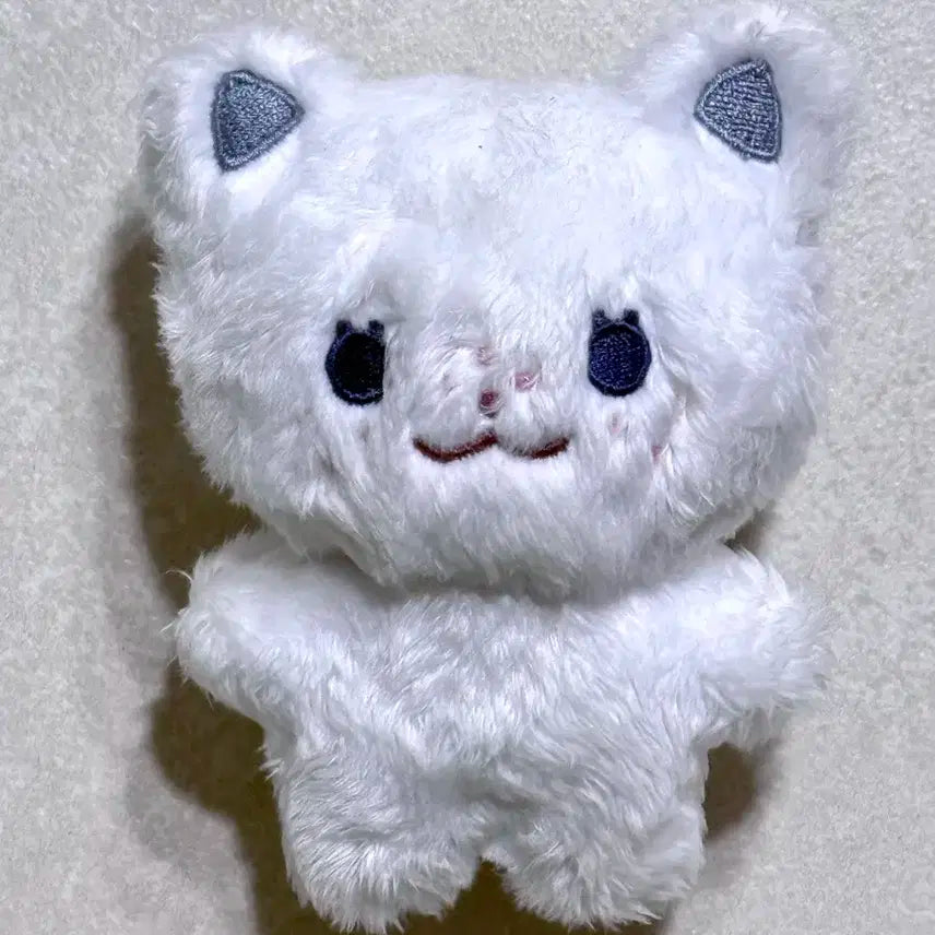 스트레이키즈 뽁냥이 필릭스 인형 입있뽁