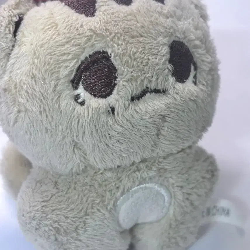 윤정한 인형 쫑뭉이 팔아요