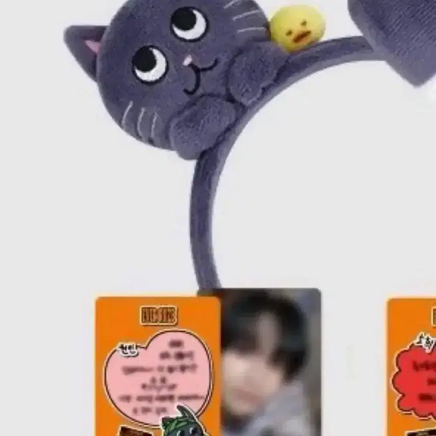 원빈 에버랜드 토냥덕 머리띠랑 포카