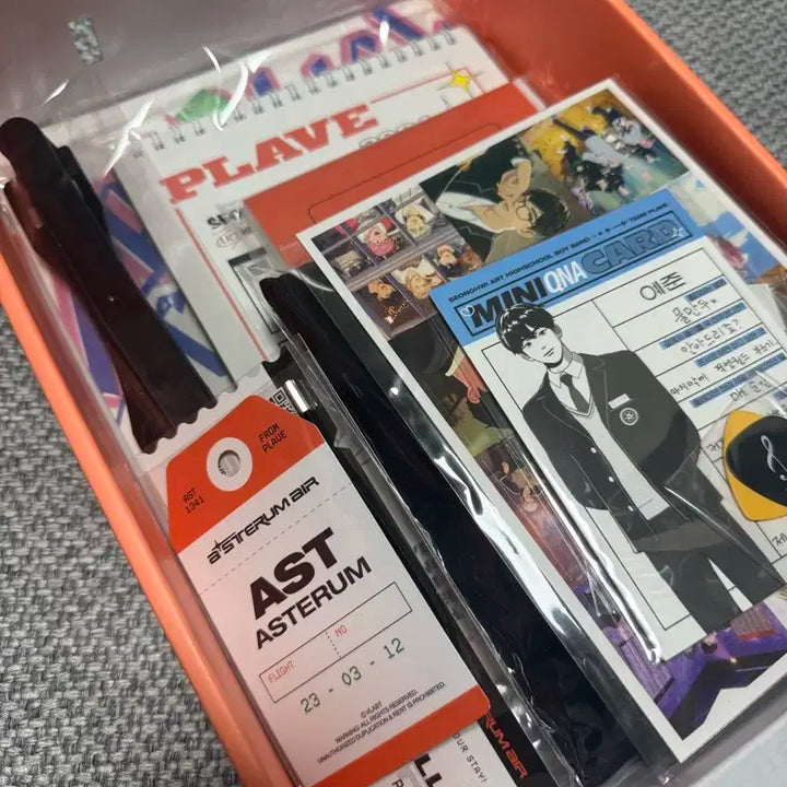 플레이브 2024 시그 (포카 제외)